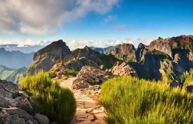 Madeira ada dağlarının manzarası