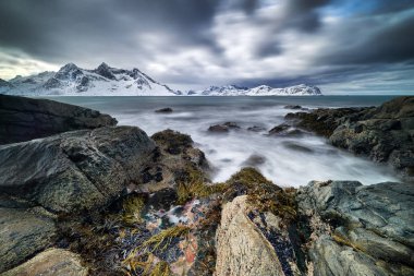 Norveç lofotens kış manzara
