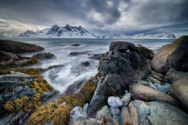 Norveç lofotens kış manzara