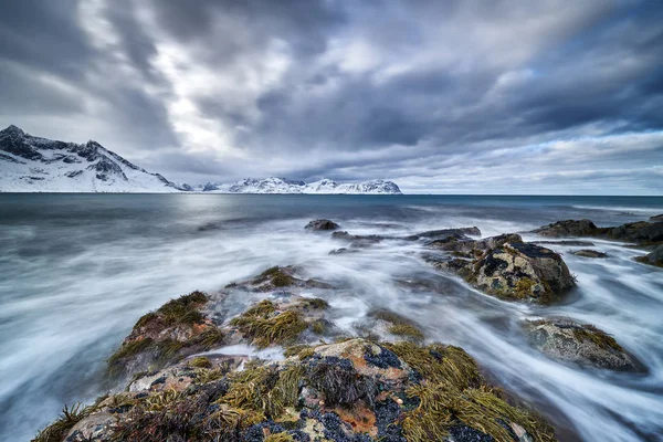 Paisagem de inverno de lofotens de Noruega — Fotografia de Stock