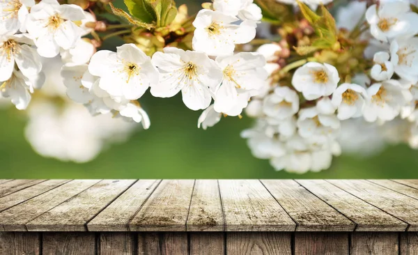 Empty wooden table background — Stock Photo, Image