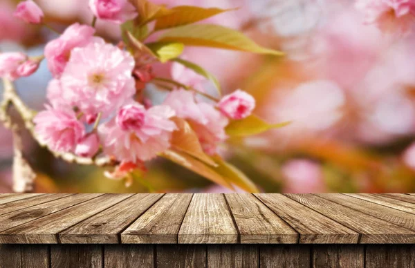 Empty wooden table background — Stock Photo, Image