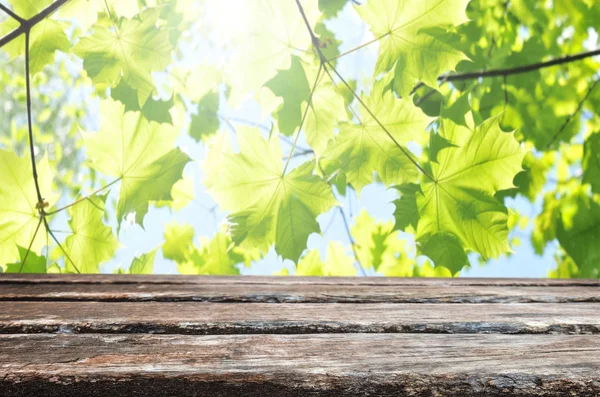 Empty wooden table background — Stock Photo, Image