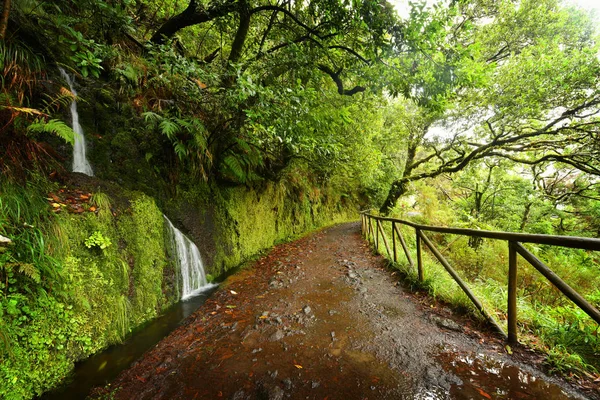 Paysage de l'île de Madère - chemin levada — Photo