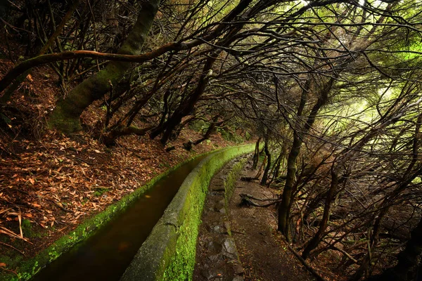 Landschap van het eiland Madeira-Levada Path — Stockfoto