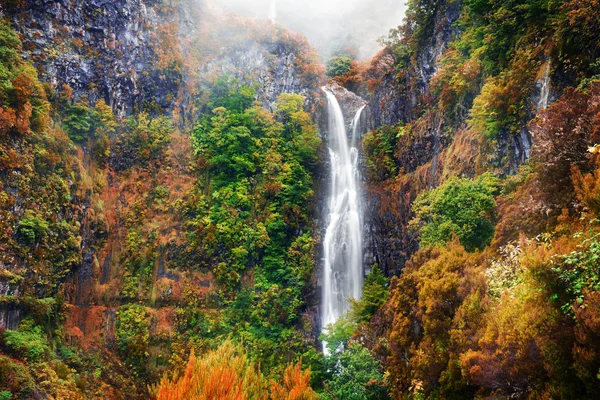 Risco cascade - île de Madère — Photo