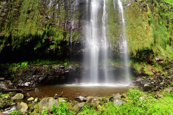 Waterfall on madeira island — Stock Photo, Image