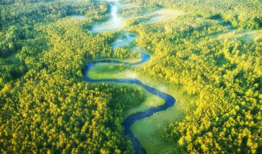 Wild river landscape from the drone clipart
