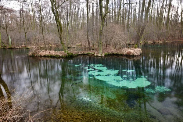 Muelles azules famosos (niebieskie zrodla) en Tomaszow Mazowiecki c — Foto de Stock