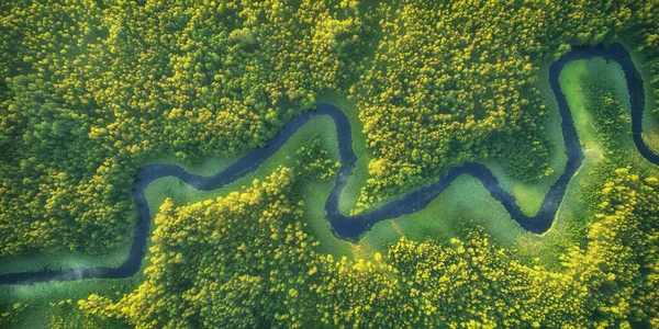 Divoká říční krajina od dronu — Stock fotografie