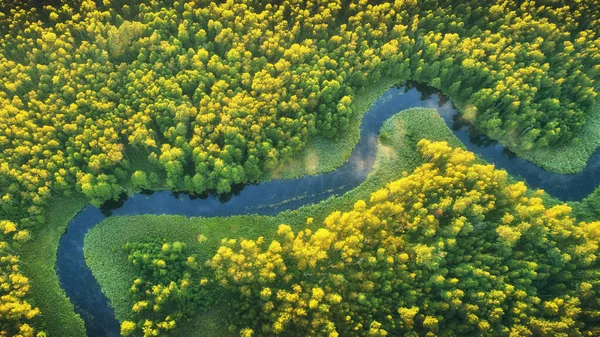 無人機からの野生の川の風景 — ストック写真