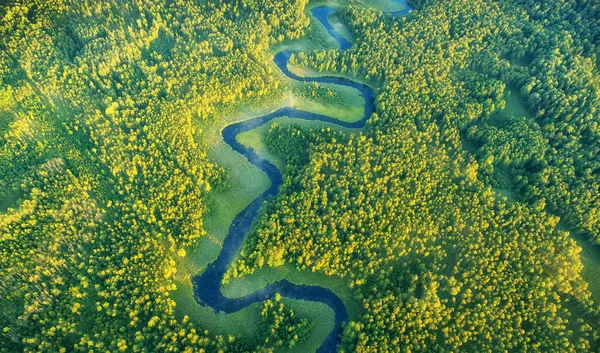 Divoká říční krajina od dronu — Stock fotografie