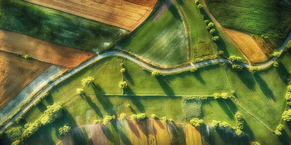 Vista aérea del dron - camino ventoso en verano —  Fotos de Stock