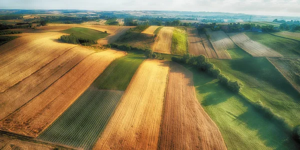 Widok z lotu ptaka - pola rano — Zdjęcie stockowe