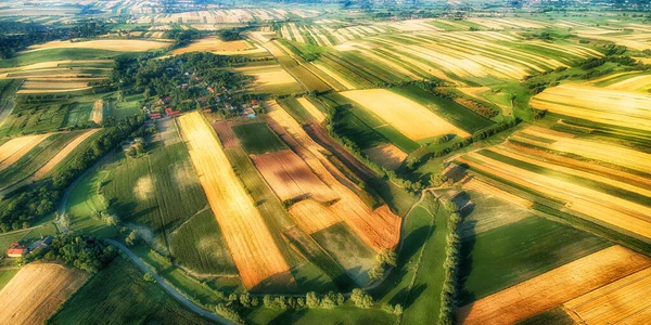Drone vue aérienne - champs le matin — Photo
