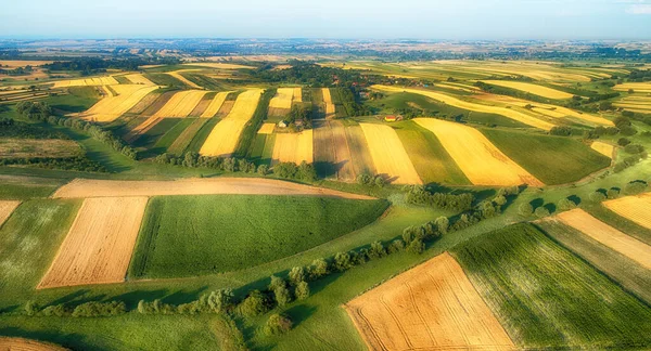 Drone aerial view - fields on the morning — Stock Photo, Image