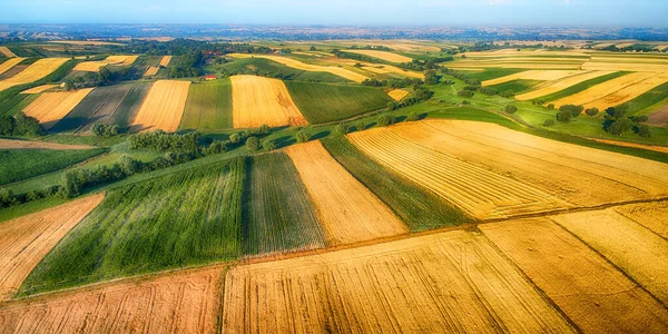 Vista aérea del dron - campos en la mañana —  Fotos de Stock