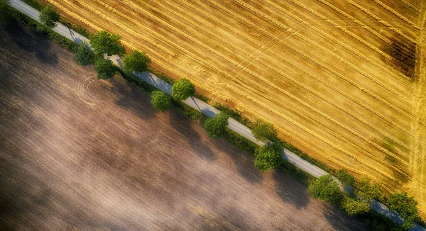 Letecká krajina od dronu - cesta mezi poli — Stock fotografie