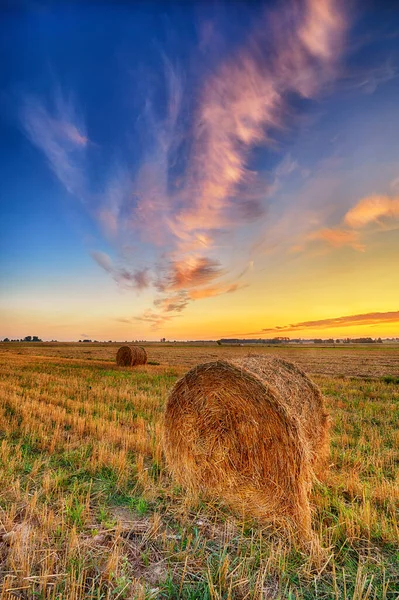 Belo pôr do sol de verão sobre campos com fardos de feno — Fotografia de Stock