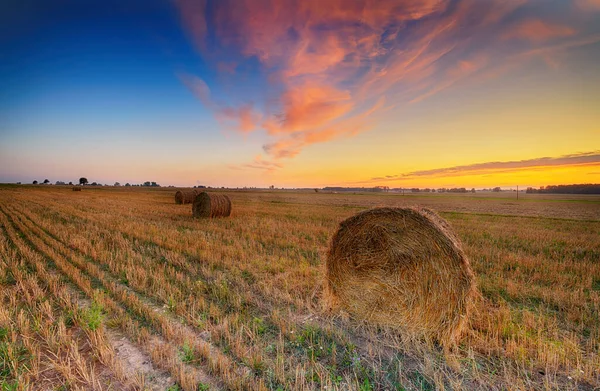 Schöner Sommersonnenuntergang über Feldern mit Heuballen — Stockfoto