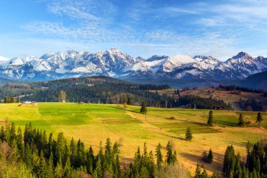 Polonya dağlarının manzarası Tatry