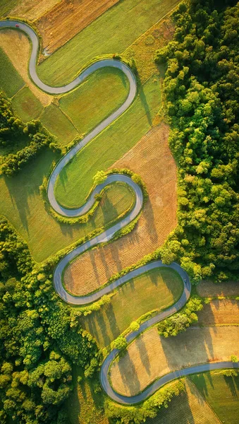 Vista aérea do drone - estrada ventosa no verão — Fotografia de Stock