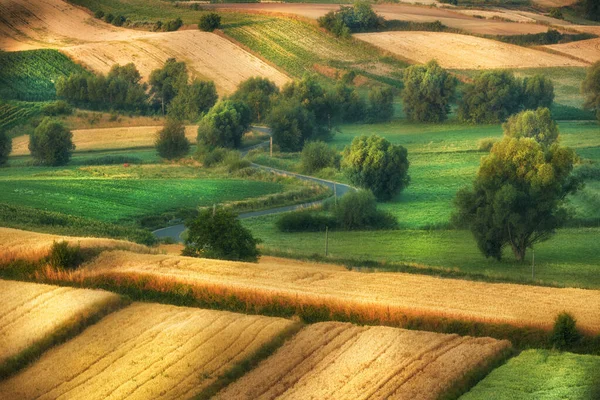 Beau paysage estival de la Pologne - Ponidzie — Photo