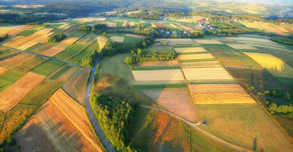 Vista aérea del dron - campos en la mañana — Foto de Stock