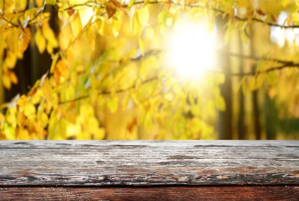 Puste drewniane tło stołu - motyw jesieni — Zdjęcie stockowe