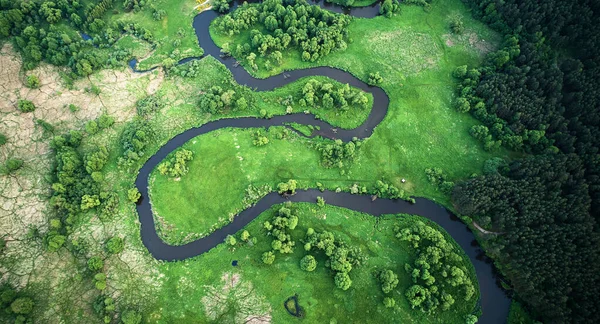 Paisagem aérea - rio selvagem em verão — Fotografia de Stock