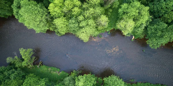 Aerial landscape - wild river in summer — Stock Photo, Image