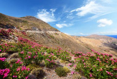 Beautiful Mediterranean landscape during summer 