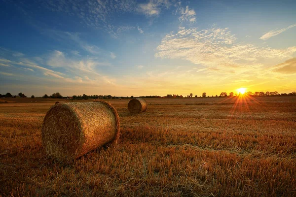 Prachtige zomer zonsondergang over velden met hooibalen — Stockfoto