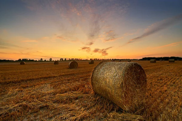 Beautiful summer sunset over fields with hay bales — Stock Photo, Image