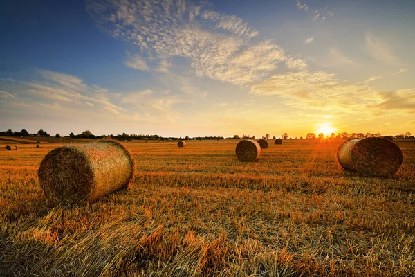 Прекрасный летний закат над полями с тюками сена — стоковое фото