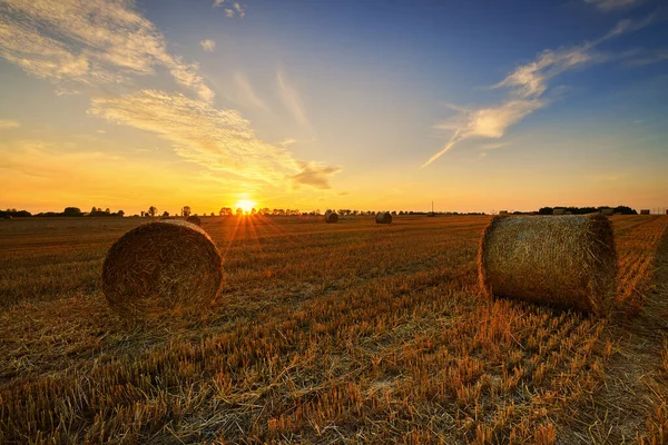 Beautiful summer sunset over fields with hay bales — Stock Photo, Image