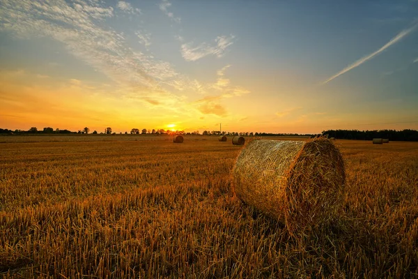 Belo pôr do sol de verão sobre campos com fardos de feno — Fotografia de Stock