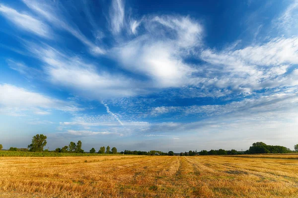 Krásná oblačná obloha nad letními poli — Stock fotografie