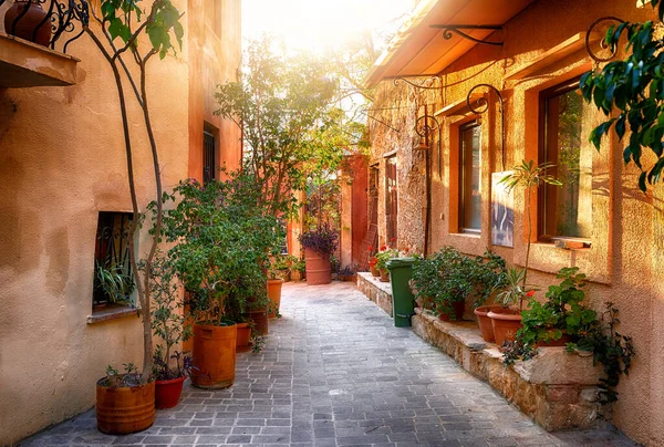 Традиционная средиземноморская улица с большим количеством растений — стоковое фото
