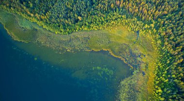 İHA 'dan gelen hava manzarası - sahil şeridi