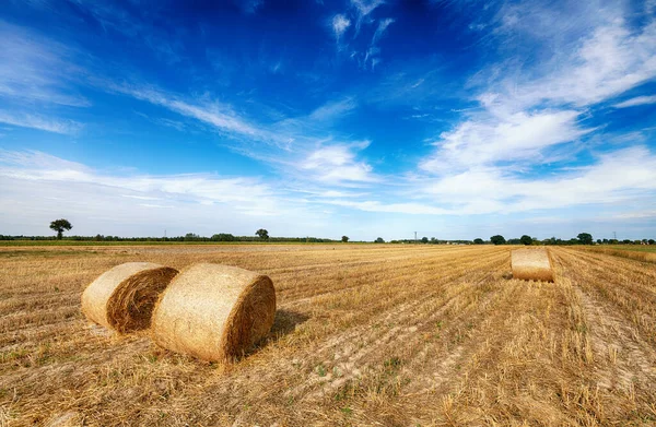 Beautiful summer landscape with hay bales and cloudy sky — Stock Photo, Image