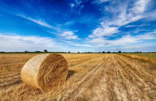 Beautiful summer landscape with hay bales and cloudy sky — Stock Photo, Image