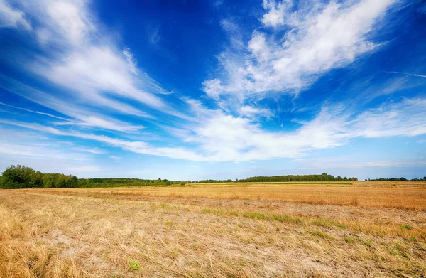 Mooie bewolkte lucht boven zomervelden — Stockfoto