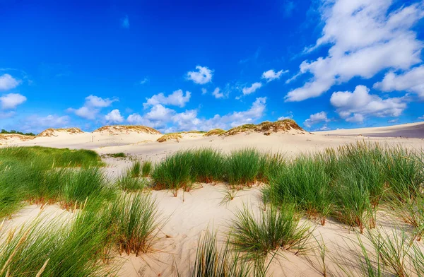 Paesaggio desertico, Parco nazionale Slowinski vicino a Leba, Polonia — Foto Stock