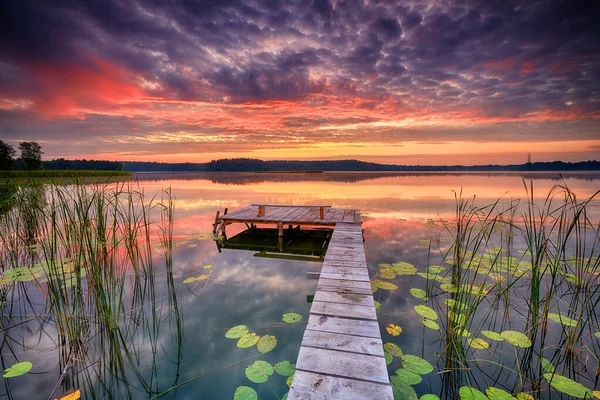 Belo verão nascer do sol sobre o lago — Fotografia de Stock