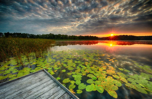Vacker sommar soluppgång över sjön — Stockfoto