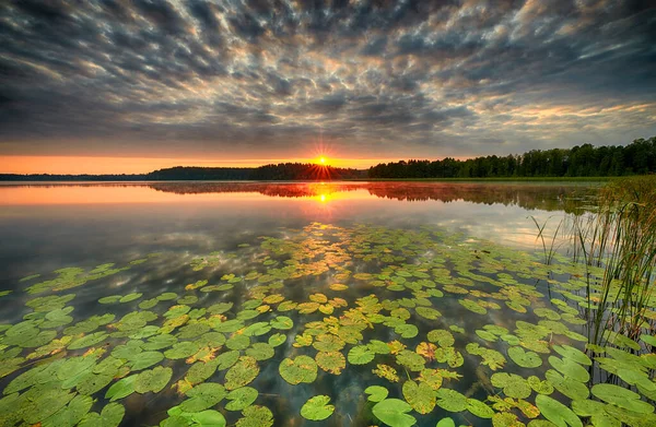湖上美丽的夏日日出 — 图库照片