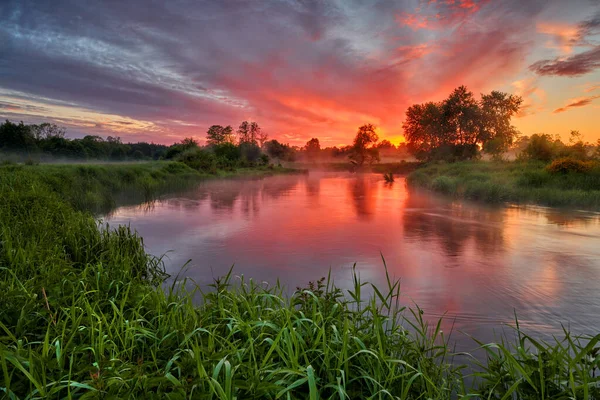 Schöner Sommersonnenaufgang über dem Flussufer — Stockfoto