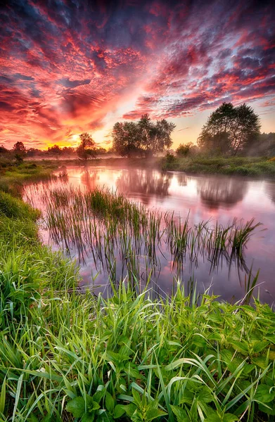 Belo nascer do sol de verão sobre as margens do rio — Fotografia de Stock