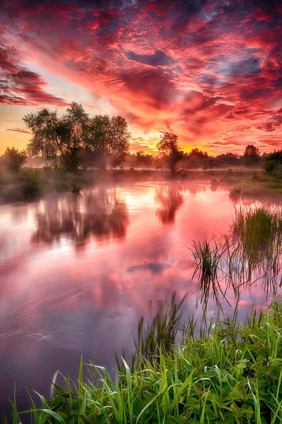 Bella alba estiva sulle rive del fiume — Foto Stock